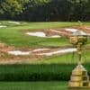 'Donald banking on experience for Ryder Cup bear pit'