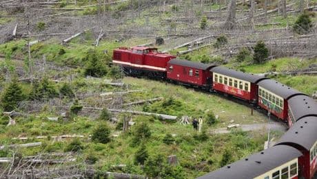 Schmalspurbahn: Harzer Schmalspurbahn wegen Waldbrandgefahr mit Diesel