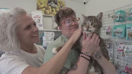‘Unspeakable joy’: Lost B.C. cat reunied with owner after six years