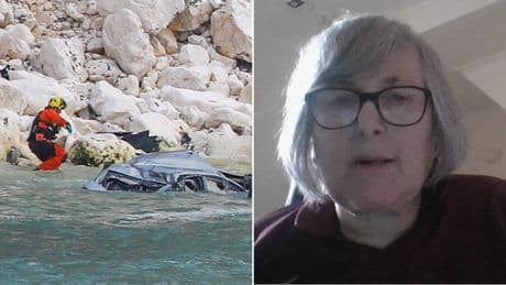 Couple died with their two dogs when their car plummeted 300ft off Isle of Wight cliff
