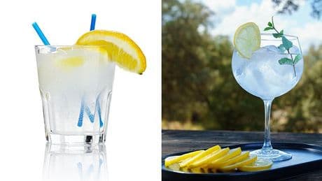 A single slimline G&T could push you over the drink-drive limit faster - find out why