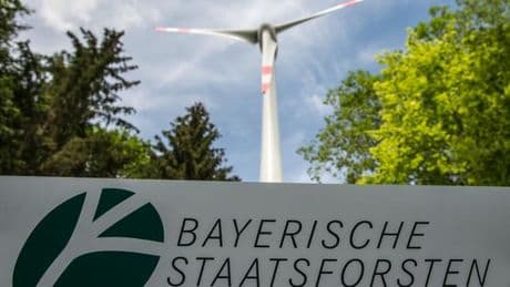 20 Jahre Staatsforsten: Staatsforsten: Naturschützer wollen mehr Klima-Resilienz