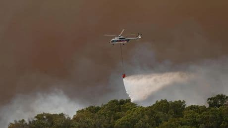 "Se extendió en dos horas hasta la playa": el incendio en Tarifa sigue activo y deja 1.500 evacuados