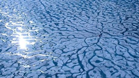 La fonte de la glace arctique a ralenti au cours des vingt dernières années