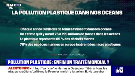 Les représentants de près de 180 pays réunis à Genève pour s'attaquer au fléau de la pollution plastique