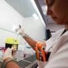 Chikungunya. Les autorités retirent de la vaccination les plus de 65 ans à La Réunion et Mayotte