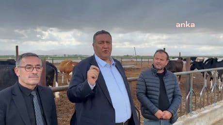 CHP’li Gürer: "Fransa bizden az inekle daha fazla süt üretiyor!" dedi, sebepleri sıraladı…