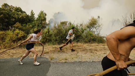 Waldbrände in Spanien: Anwohner müssen offenbar selbst löschen
