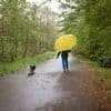 Onweersbuien en flink wat wind dit pinksterweekend, maar af en toe wat zon