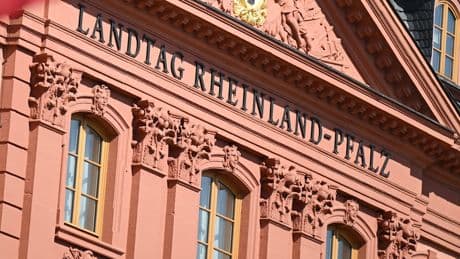 Rheinland-Pfalz rudert zurück - AfD-Mitglieder dürfen doch in Staatsdienst