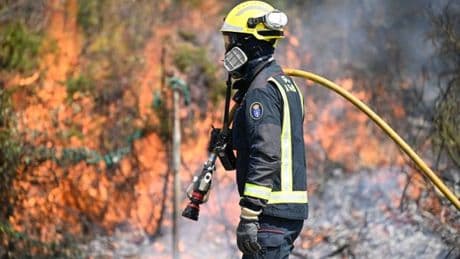 Incendies, droits de douane, Mondial de rugby : les informations de la nuit