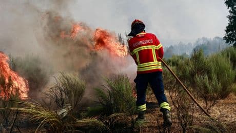 Verbijstering in Spanje om brandweerman die pyromaan blijkt: ’Ze verlengen expres het brandseizoen’
