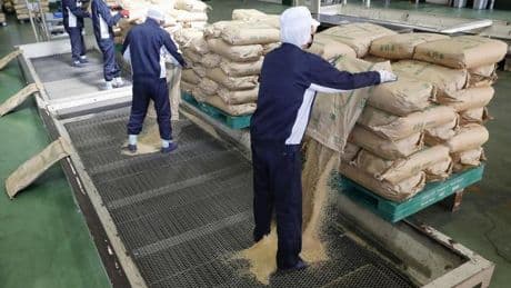 Les prix du riz ne baissent pas au Japon, malgré l’ouverture de réserves gouvernementales