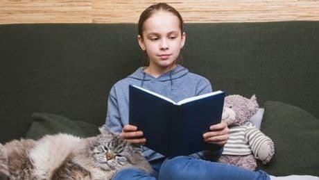 Niedersachsen: Tierheimprojekt »Kinder lesen Katzen vor«: Wenn Zoe ihren Katzen etwas über Außerirdische vorliest