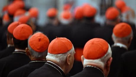 Conclave : qui sont les 133 cardinaux électeurs ? Leurs profils en 10 chiffres clés