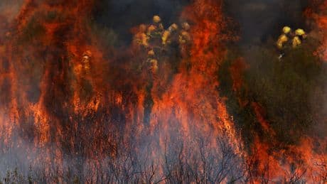 Incendie en Espagne : une troisième personne décédée, la France envoie deux Canadair
