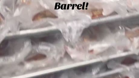 Angry Cracker Barrel workers dish on skimpy pay and ‘frozen’ food that’s passed off as homestyle cooking: ‘in a bag off a truck’
