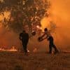 En pleine canicule, la Grèce frappée par de multiples incendies