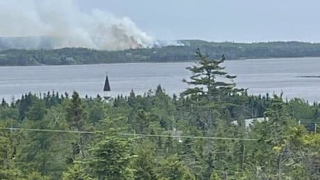 30 homes remain evacuated with wildfire in Musquodoboit Harbour, N.S. being held