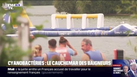 Le lac de Pont-l'Évêque (Calvados) fermé à la baignade depuis un mois à cause de la présence de cyanobactéries