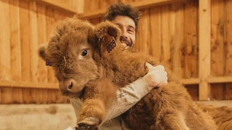 «Ce nouveau métier le passionne» : la retraite de Thibaut Pinot, au milieu de ses chèvres, de ses vaches et de ses ânes