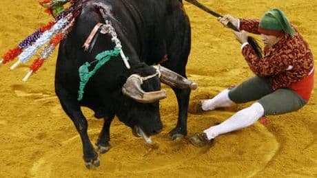 Portugal: 22-jähriger Stierkämpfer stirbt bei Debut in Lissabon