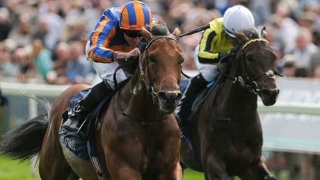 Newsboy’s ITV selections for York and Salisbury plus tips from Thursday’s other UK meetings