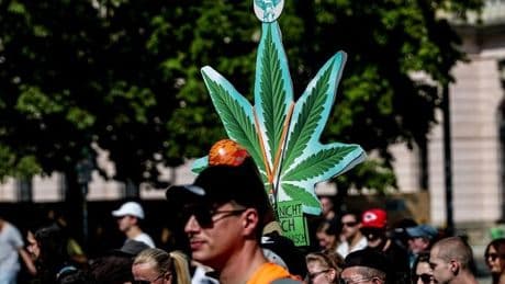Trump agita a la derecha al plantear la reclasificación de la marihuana