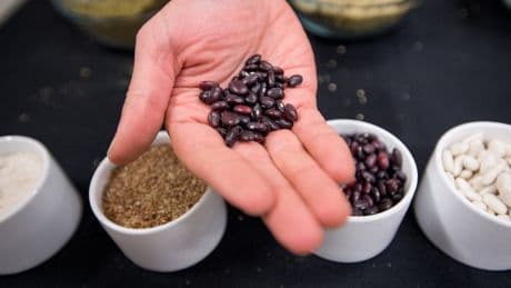 Vegan diet beats Mediterranean diet when it comes to jump-starting weight loss, scientists find