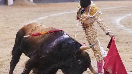 Ilusionante confirmación de Alejandro Peñaranda en Las Ventas