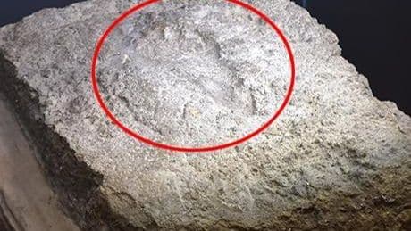 İlk kez teşhir edildi, heyecan yarattı: Sadece bir kerpiç parçası değil