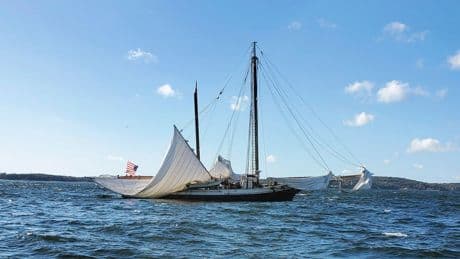 Coast Guard says rotten wood and poor inspections led to deadly schooner mast collapse