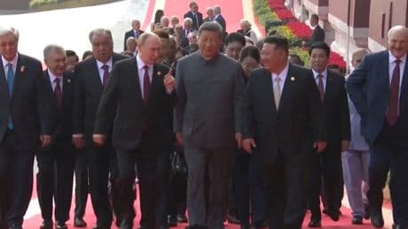 Ton-Panne enthüllt Trump-Xi-Gespräch über die "Unsterblichkeit"
