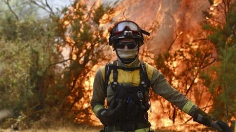 LIVE | Nog eens 30.000 hectare extra verwoest in afgelopen 24 uur door branden in Spanje