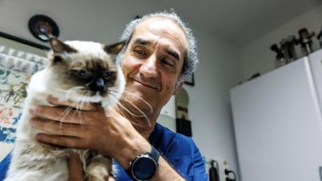 “Hemos de buscar la pastilla del gato en Polonia habiendo una eficaz en la farmacia”