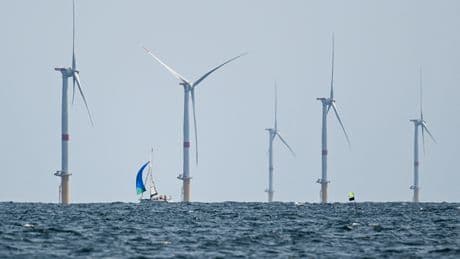 PPE : «On multiplie par 35 l’éolien offshore et tout ça est payé par vos factures d’électricité», fustige Anne Lauvergeon