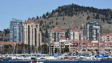Commercial boat owners say Kelowna city fees unfair, bad for tourism