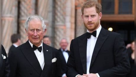 Royal-Expertin über Harrys Schock-Interview: "Eine traurige Geschichte"