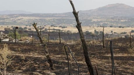 AEMET alerta de la posible propagación de incendios por las tormentas secas