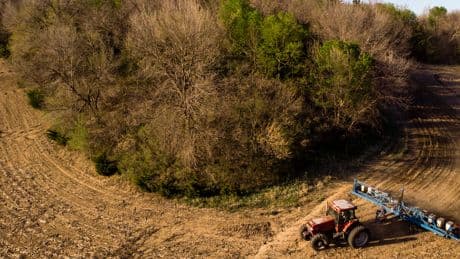 How Tariffs Raise Costs for Farmers, Making Food More Expensive