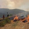Les incendies de forêts vont "constituer une menace importante dans le sud de la France", analyse un climatologue