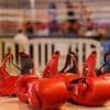 « Un sport pourrait disparaître » : au Japon, la boxe sous tension après la mort de deux boxeurs