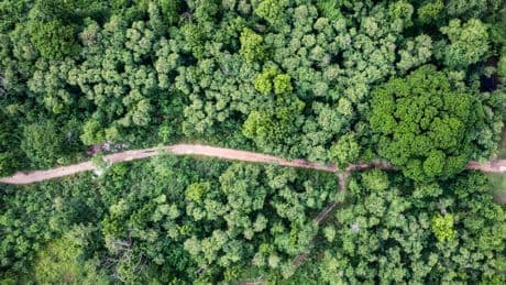 Entra en vigor el registro huella de carbono: cómo afecta a las empresas