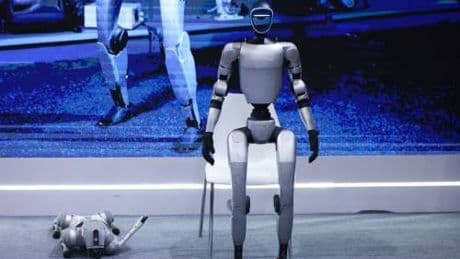 I deliri di Donna Haraway tra cyborg e fascismo