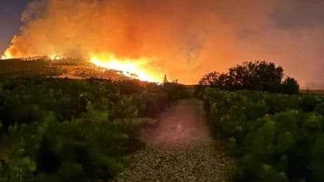 La Rioja arde por los cuatro costados con hasta ocho incendios declarados en la misma tarde
