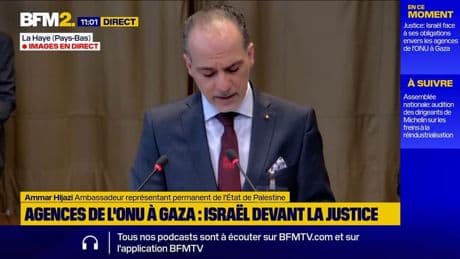 CPI: selon le représentant de la Palestine, "Israël détruit les fondamentaux de la vie"