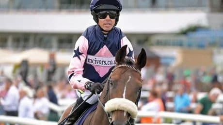 Newsboy's Nap and other racing tips for 4 UK meetings on Wednesday