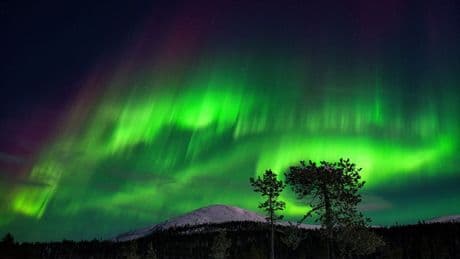 Northern Lights Forecast: 8 States Could See Aurora Borealis Tonight