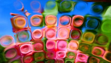 ¿Cómo suena una sinfonía de colores?
