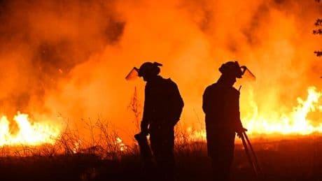 Incendies en Espagne, “guerre” française au Cameroun, guerre en Ukraine, coopération Russie-Corée du Nord : les informations de la nuit